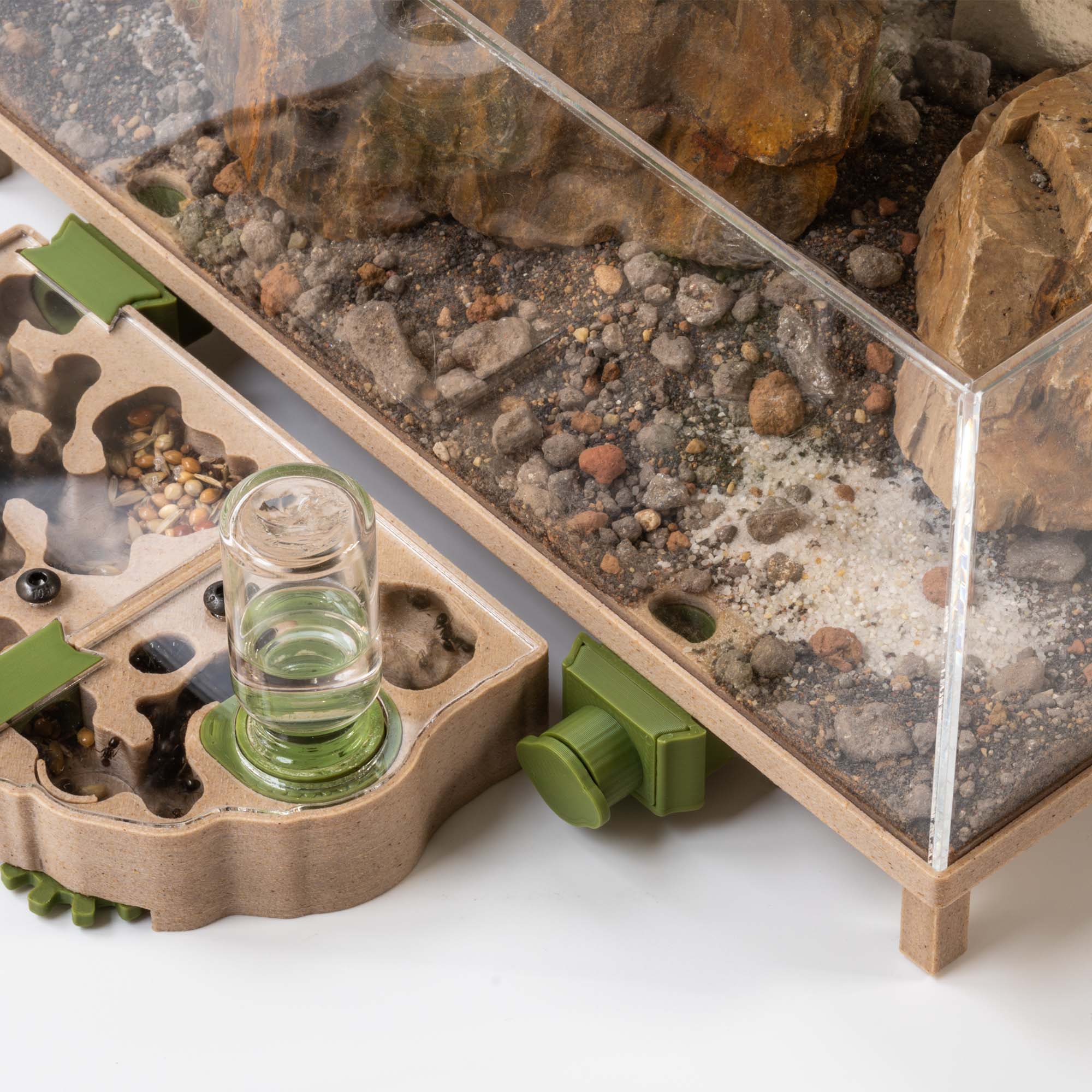 Build Your Tiny Empire Today